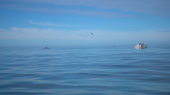 Atlantic Ocean shot from a Moving Boat with Nice Blue Water and Sky. Seagulls and Boats in backgroun alt