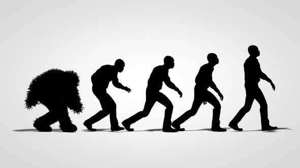 Silhouette of the theory of evolution of man - human development from monkey