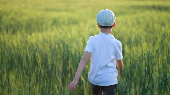 A Child of 67 Years Old Walks Along a Young Green Meadow Field