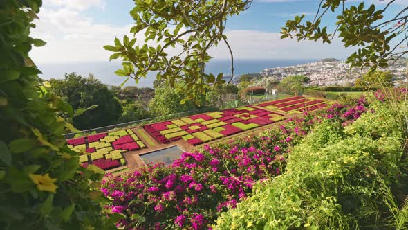 Rich Flora and Flowers in Botanical Garden of Funchal Madeira alt