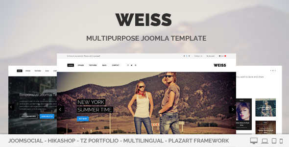 Weiss - Multipurpose - ThemeForest 8000833