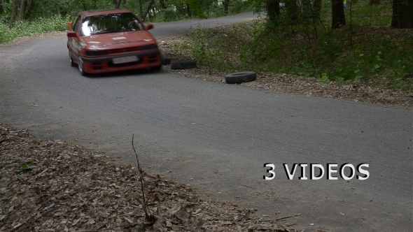 Rally Car in the Forest in Summer 03 - 3 Videos