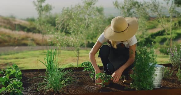 Watering her garden alt
