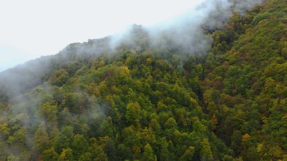 Misty Autumn Mountain Aerial View alt