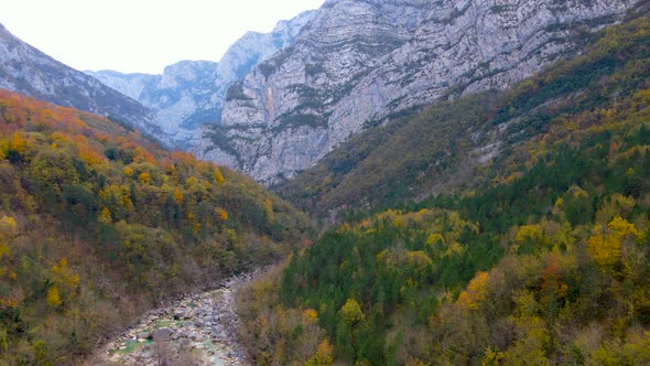 steep green mountains, deep forest and mountain road, beautiful valley and river alt