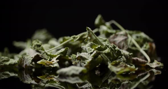 Dry Mint Leaves Rotating on Black Background alt