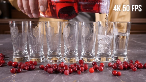 7 Cranberry Vodka Shots alt