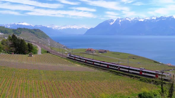 Swiss Train Moves Along a Scenic Railway on a Hillside Near Lake Geneva Against of Alps. Switzerland alt
