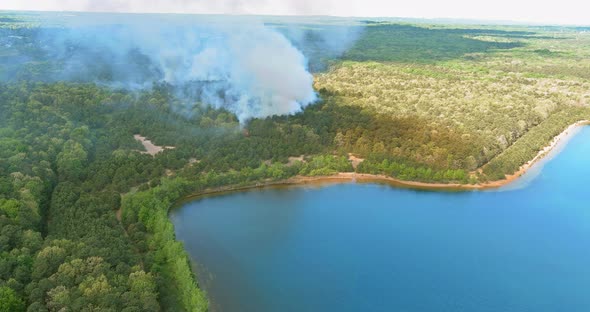 A Bushfire Burning Fire in the Forest Burnt Trees Smoke Near Pond alt
