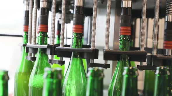Beer Brewing Process. Conveyor Line With Bottles At Brewery alt