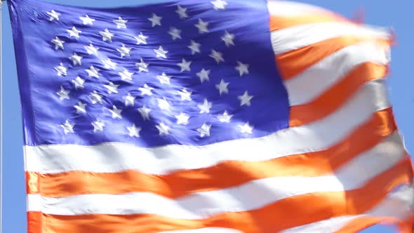 USA United States of America Flag