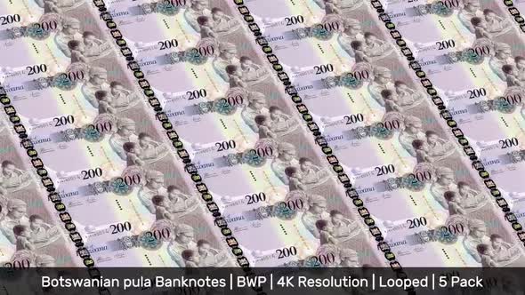 Botswana Banknotes Money / Botswanian pula / Currency P / BWP/ | 5 Pack | - 4K alt