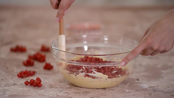 Women's hands and red currants to the batter.