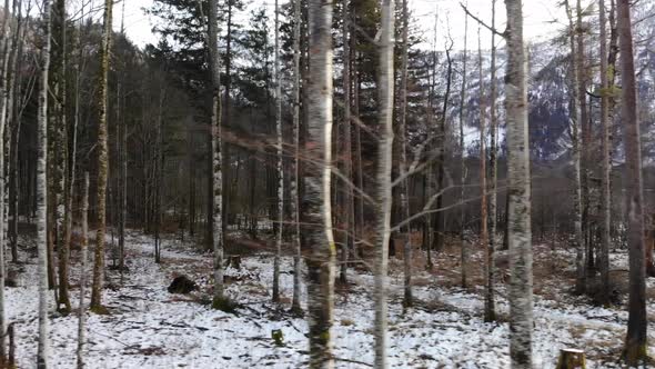 Beautiful Winter Landscape on the Lake Offensee in the Mountains in Upper Austria Salzkammergut alt