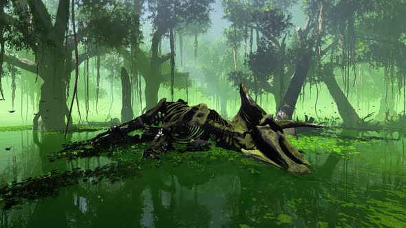 Dinosaur Skeleton In The Jungle