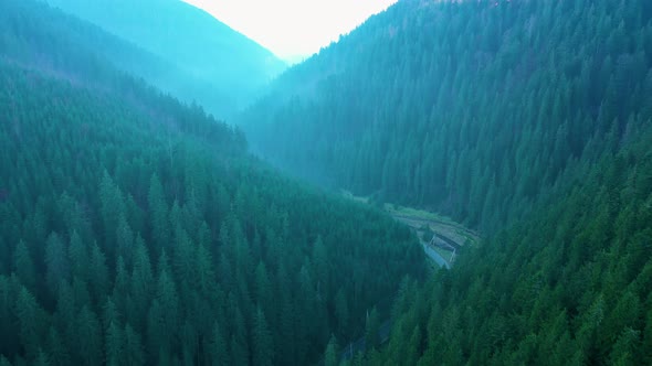 View From the Height of Mountains Covered with Coniferous Forest and Morning Fog alt