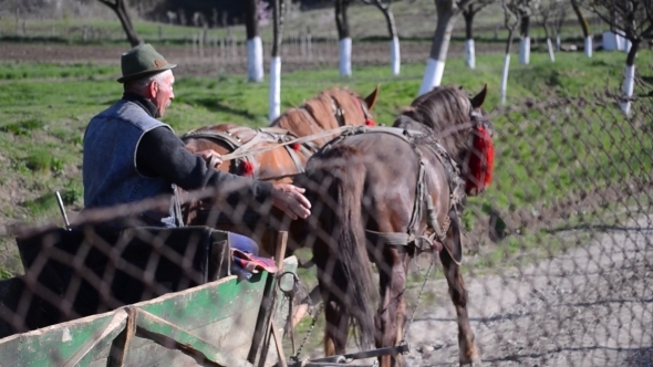 Old Teamster Horse and Cart go Uphill 