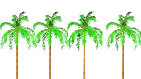 Queen Palm Botanical 3D Rendering alt