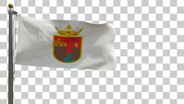 Chiapas Flag on Flagpole with Alpha Channel - 4K alt