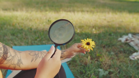 Biology Teacher Using Magnifier Teaching School Children Outdoors alt
