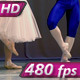 Four Ballerinas and Ballet Dancer - VideoHive Item for Sale