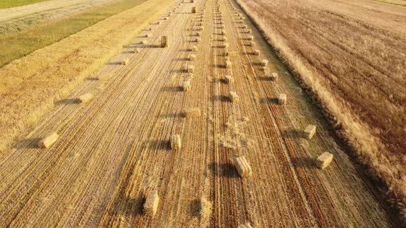 aerial view of field with bales of straw. Field work, collection of hay and straw of ripe wheat. 