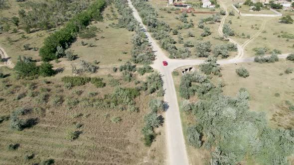 a Red Passenger Car Drives on a Shroud on a Concrete Road alt
