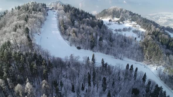 Aerial view of ski slope and skiers skiing down the slope. Winter scenery, trees covered with snow