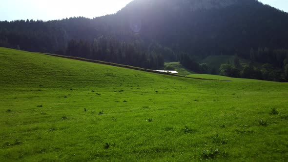 Fly close to ground on green mountain meadow uphill while sun shines over big mountain and forest