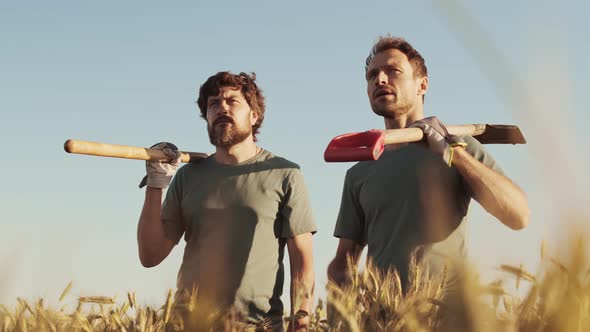 Two Handsome Farmers Standing in Wheat Field alt
