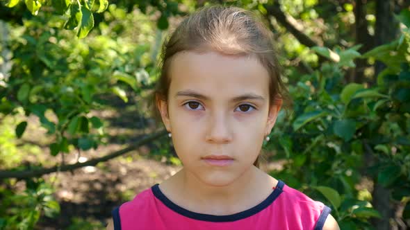 The Ukrainian Flag is Drawn on the Child Hands alt
