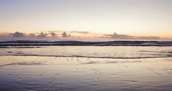 Little Birds At Sunset