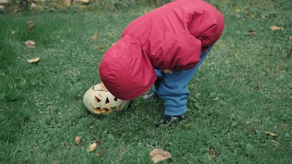 Little Girl in Jacket Plays with Glowing Pumpkin for Halloween on Grass in Park alt