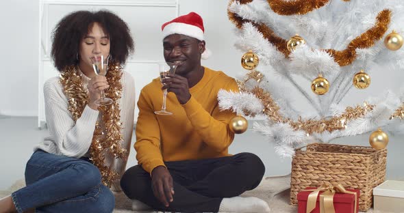 Curly Woman and African American Man Celebrate Holiday Together Sitting Near Christmas Tree in Room alt