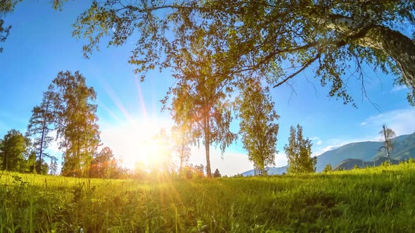 Mountain Meadow Time-lapse at the Summer or Autumn Time. Wild Nature and Rural Field. Motorised alt