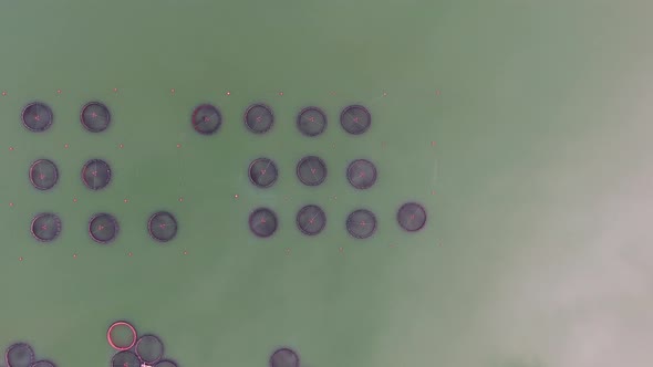 Pisciculture Fish Farming in Lake alt