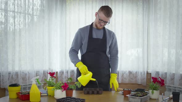 Young Male Gardener Watering Soil for Seedlings in Palettes, Plants Cultivation alt