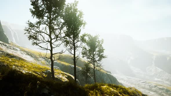 Beautiful Rocks with Few Trees at the Daylight in Nepal alt
