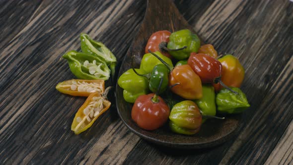 Bird Chilli Angle Rotational Display alt