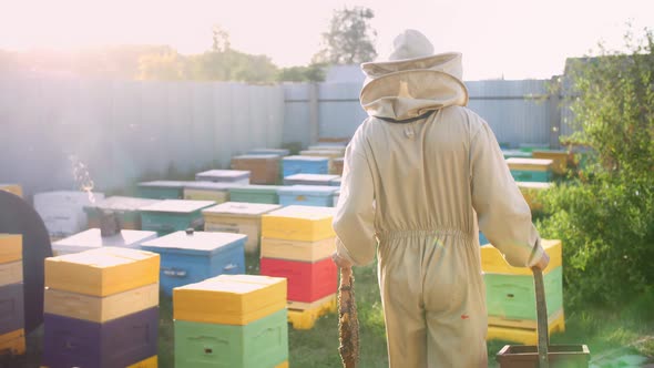 The Beekeeper Walks on His Bee Apiary