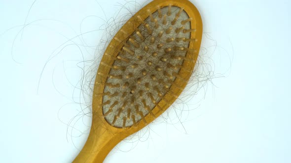 Hairbrush with fallen out hair. Lots of fallen hair on a comb. Hair loss problem