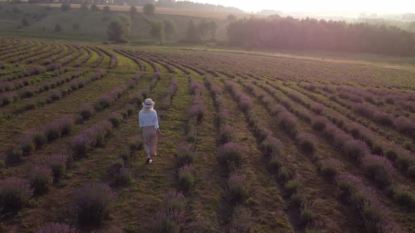 Walking Women in the Field of Lavender