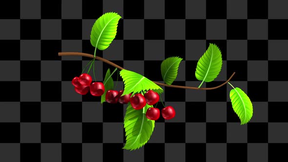 Alpha Channel Cherry Frame Pack alt