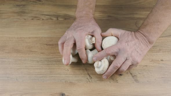 Fresh Mushrooms in Farmers Hands