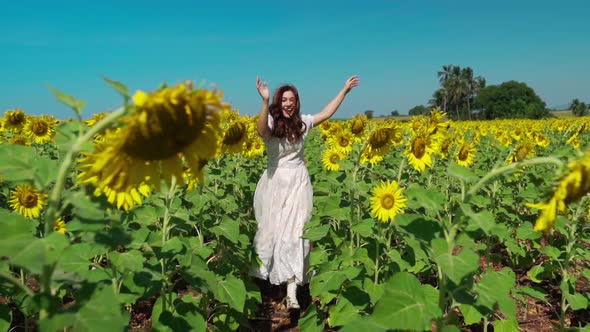 slow-motion of cheerful woman walking with arms raised and enjoying with sunflower field