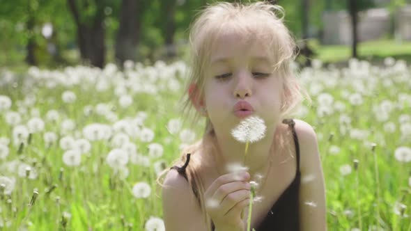 Cute Little Girl Having Fun Looks at Dandelion Seeds While Relaxing in the Park alt
