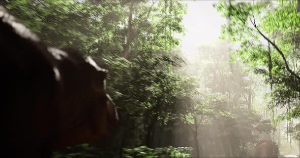A Hungry Huge Tyrannosaurus Chasing Triceratops in the Jungle