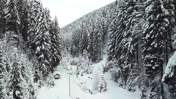 Winter beautiful scenery landscape with snowy forest road, from a drone. alt