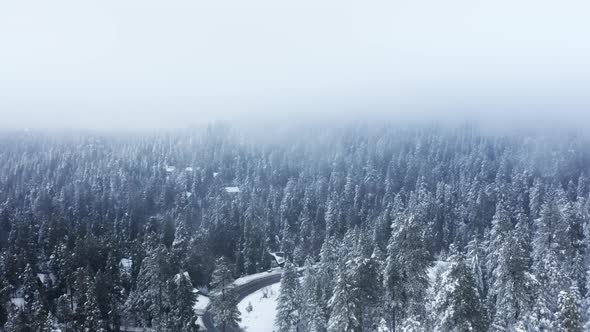 Winter Wonderland Mountain Landscape with Cinematic Winter Forest Road Aerial alt
