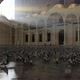 Mosque Courtyard and Pigeons - VideoHive Item for Sale